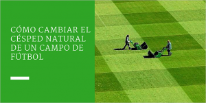 Cómo cambiar el césped natural de un campo de fútbol