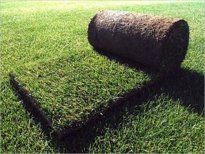 Cómo cambiar el césped natural de un campo de fútbol
