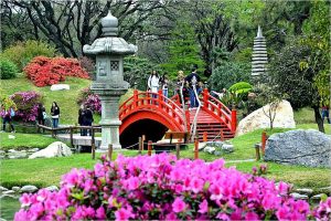 Arquitectura y simbolismos de los jardines japoneses