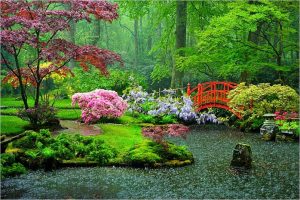 Arquitectura y simbolismos de los jardines japoneses