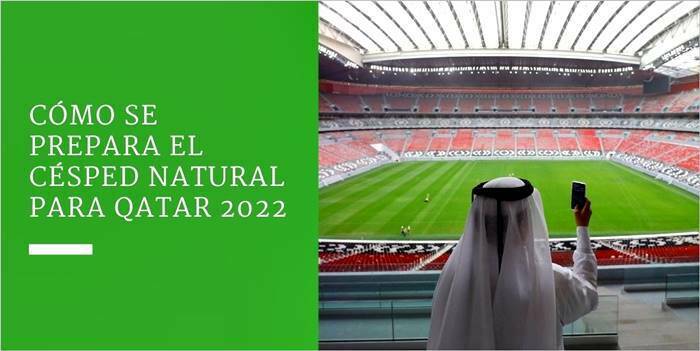 Cómo se prepara el césped natural para Qatar 2022