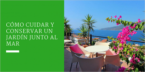 Cómo cuidar y conservar un jardín junto al mar