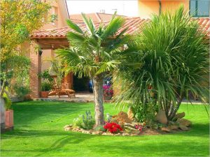Cómo cuidar y conservar un jardín junto al mar
