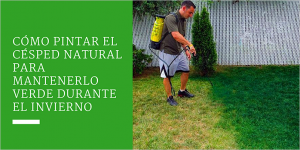 Cómo pintar el césped natural para mantenerlo verde durante el invierno
