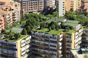 Qué son los Techos Verdes o Green Roofs