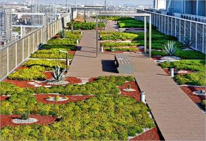 Qué son los Techos Verdes o Green Roofs