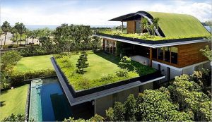 Qué son los Techos Verdes o Green Roofs