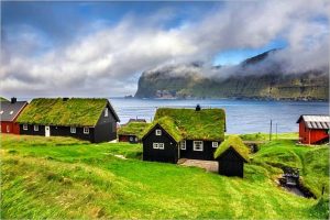 Qué son los Techos Verdes o Green Roofs
