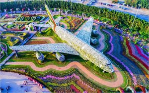 Qué pasa con mi césped natural, por qué no lo puedo mantener vivo