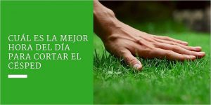 Cuál es la mejor hora del día para cortar el césped