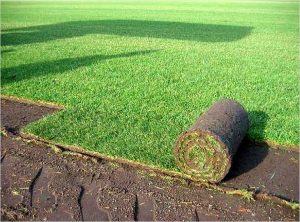 Cómo eliminar los espacios que quedan entre los tepes de césped