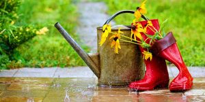 Cómo recuperar un césped inundado