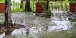 Cómo recuperar un césped inundado