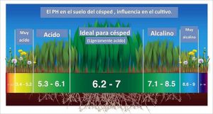 Cómo preparar el césped para la primavera