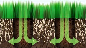 Cómo preparar el césped para la primavera