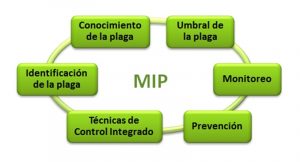 Manejo Integrado de Plagas