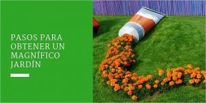 Pasos para obtener un magnífico jardín