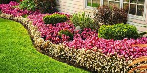 Pasos para obtener un magnífico jardín