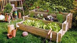 Pasos para obtener un magnífico jardín