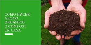 Cómo hacer abono orgánico o compost en casa