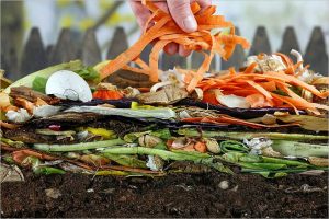 Cómo hacer abono orgánico o compost en casa