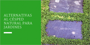 Alternativas al césped natural para jardines